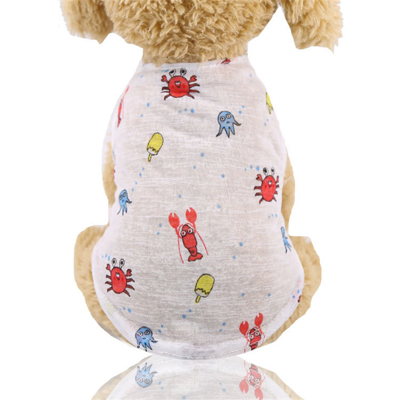 5 Colors Summer Lovely Cartoon - огляд і ціна Summer Loving Clothing