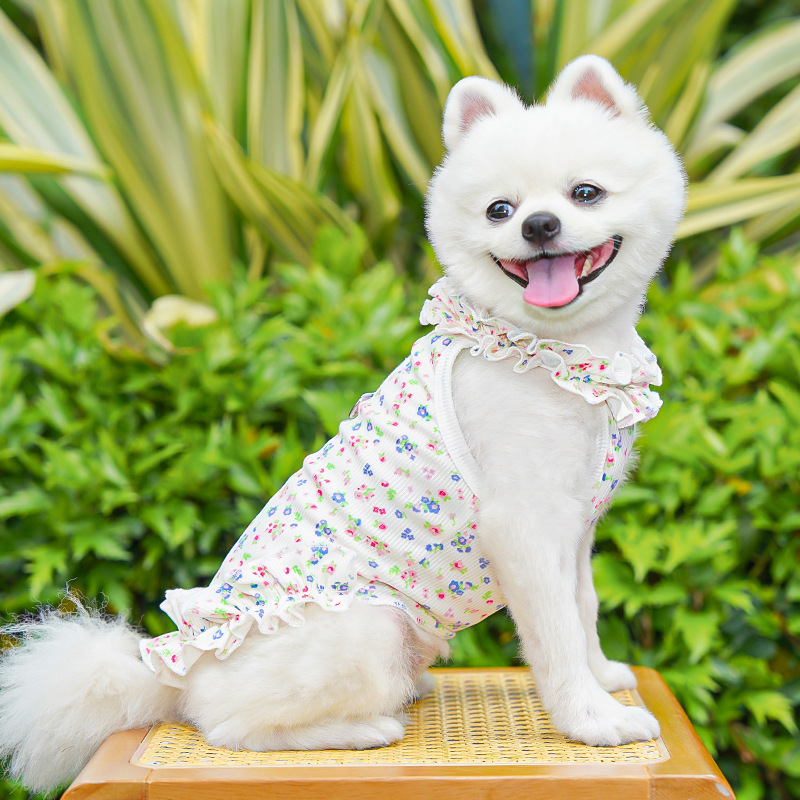 Fashion Floral Dog Dress Dog S - огляд і ціна Summer Loving Clothing