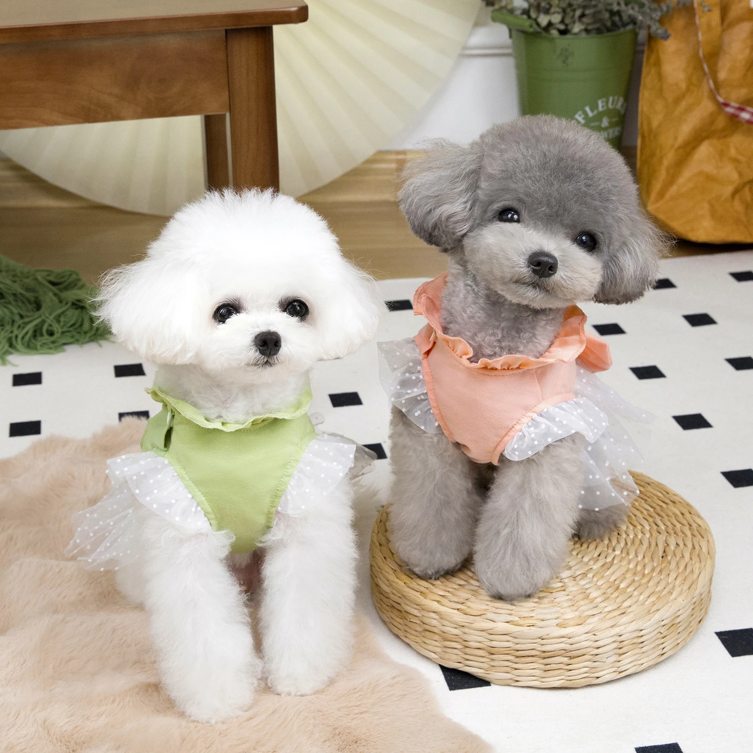 Cute Dog Summer Dress Cat Lace - огляд і ціна Summer Loving Clothing